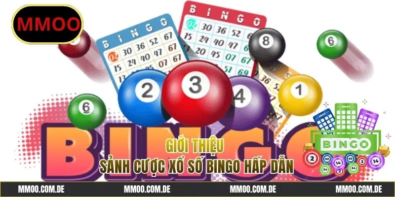 Giới thiệu đôi nét xoay quanh xổ số Bingo
